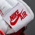 Nike Air Jordan 1 Retro High OG x Off-White Chicago "The Ten" – AA3834-101