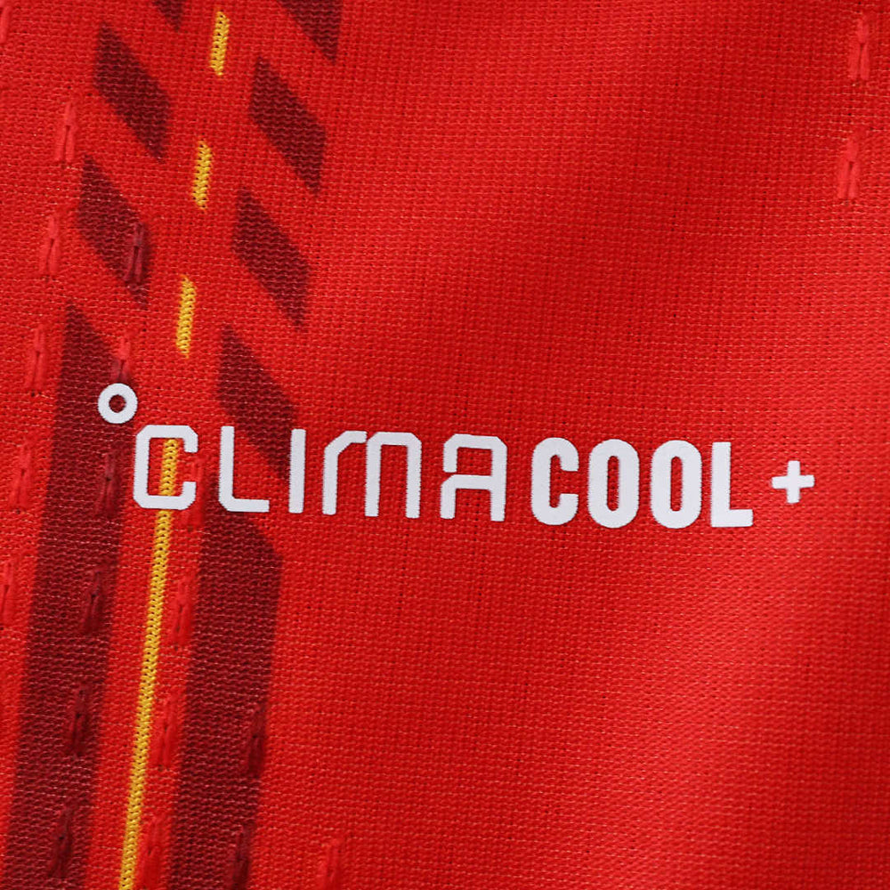 Maillot Espagne 2 étoiles Domicile Match 2026/2027