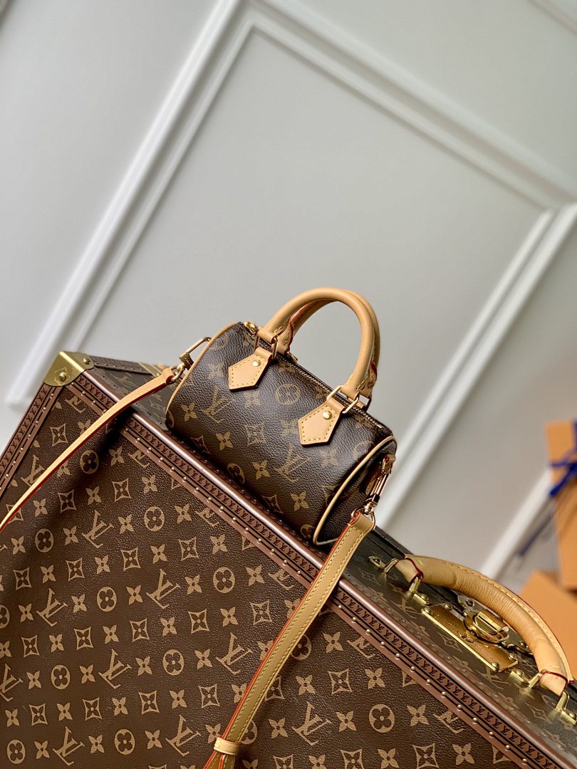 Sac à main Speedy – Réf. M81085