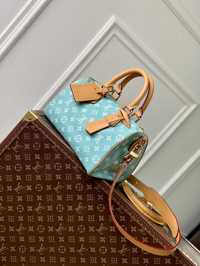 Sac à main Speedy – Réf. M24423 · Vert · Coloris 2