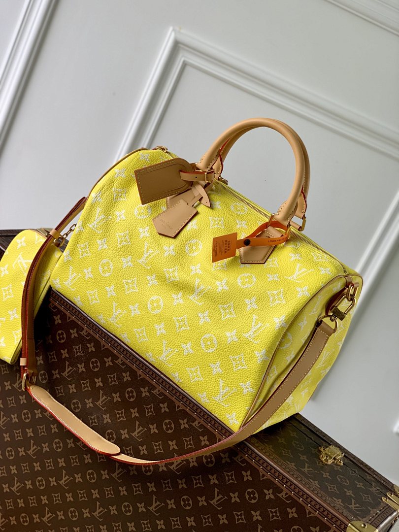 Sac à main Speedy – Réf. M24419