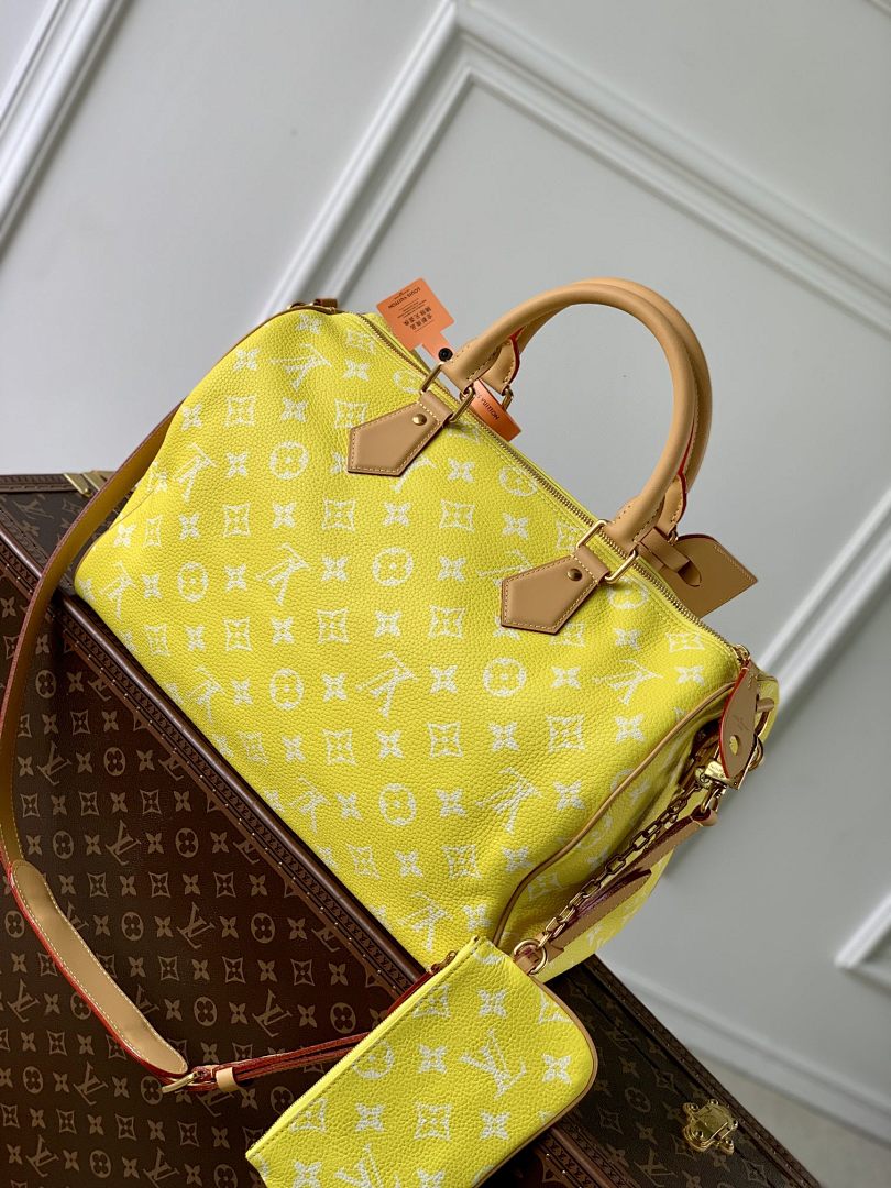Sac à main Speedy – Réf. M24419