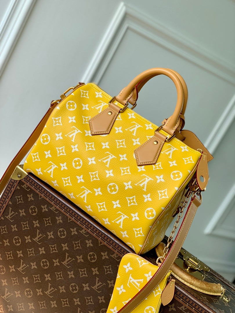 Sac à main Speedy – Réf. M13914