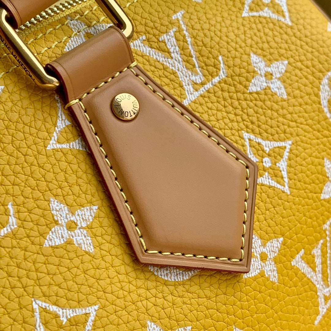 Sac à main Speedy – Réf. M13914