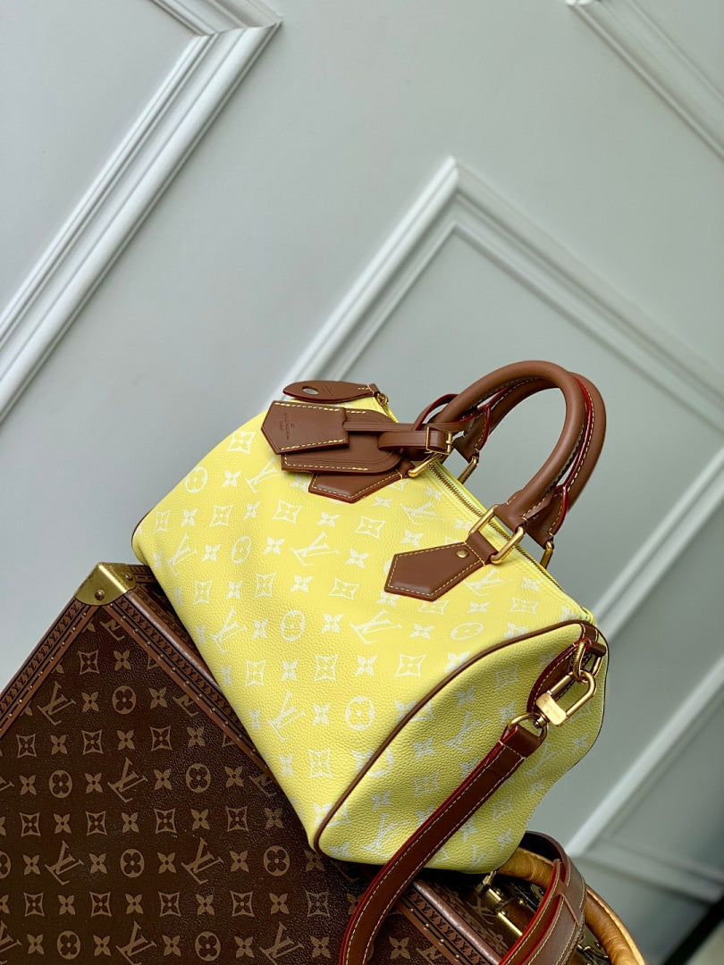 Sac à main Speedy – Réf. M21115