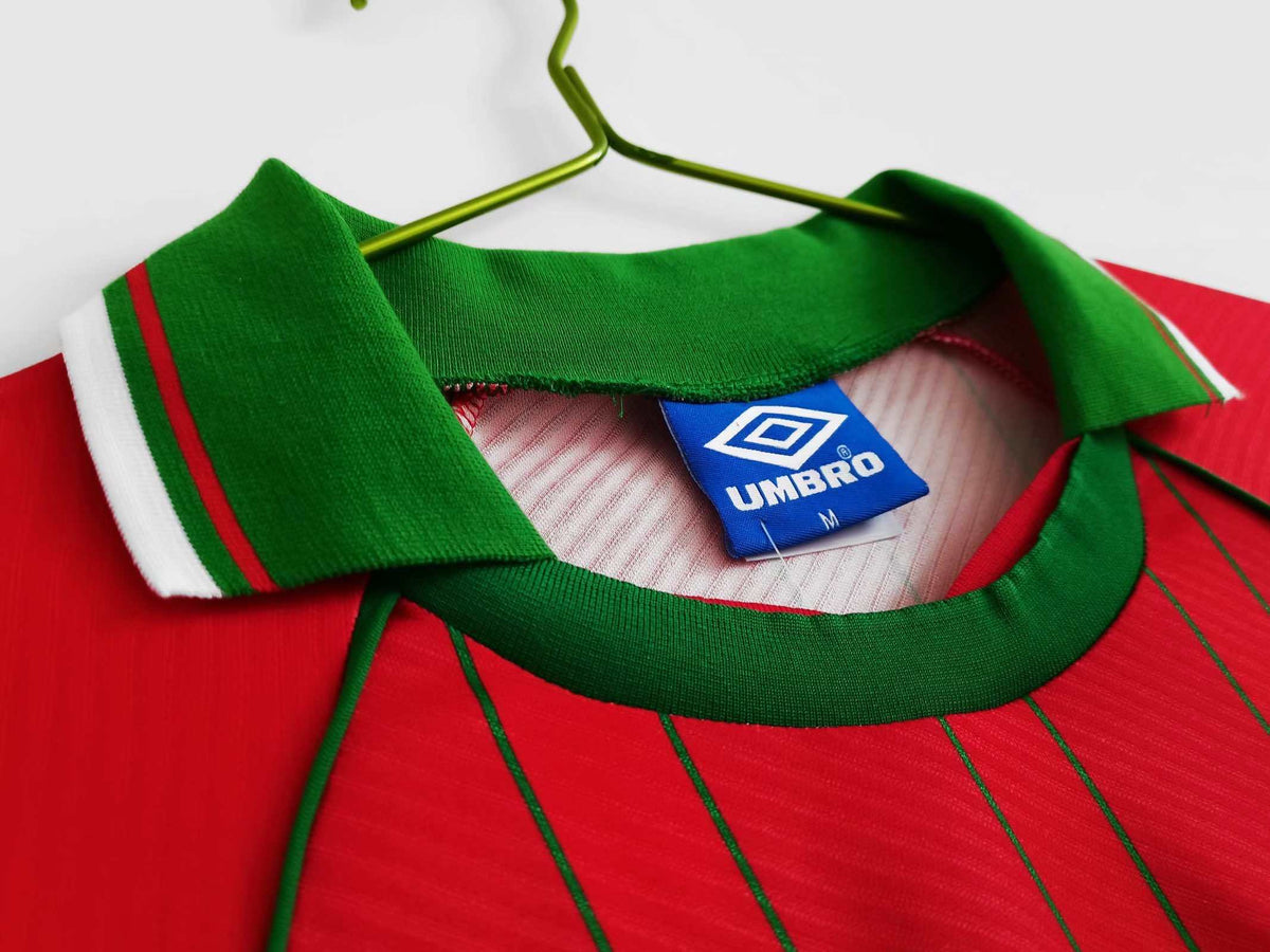 Maillot Pays de Galles 1994/96 Domicile Rétro — vue 4