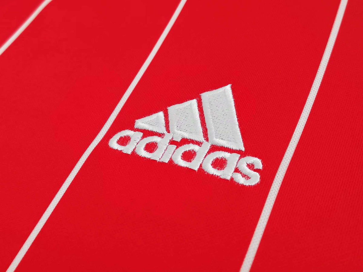 Maillot Pays de Galles 2015/16 Domicile Rétro — vue 4