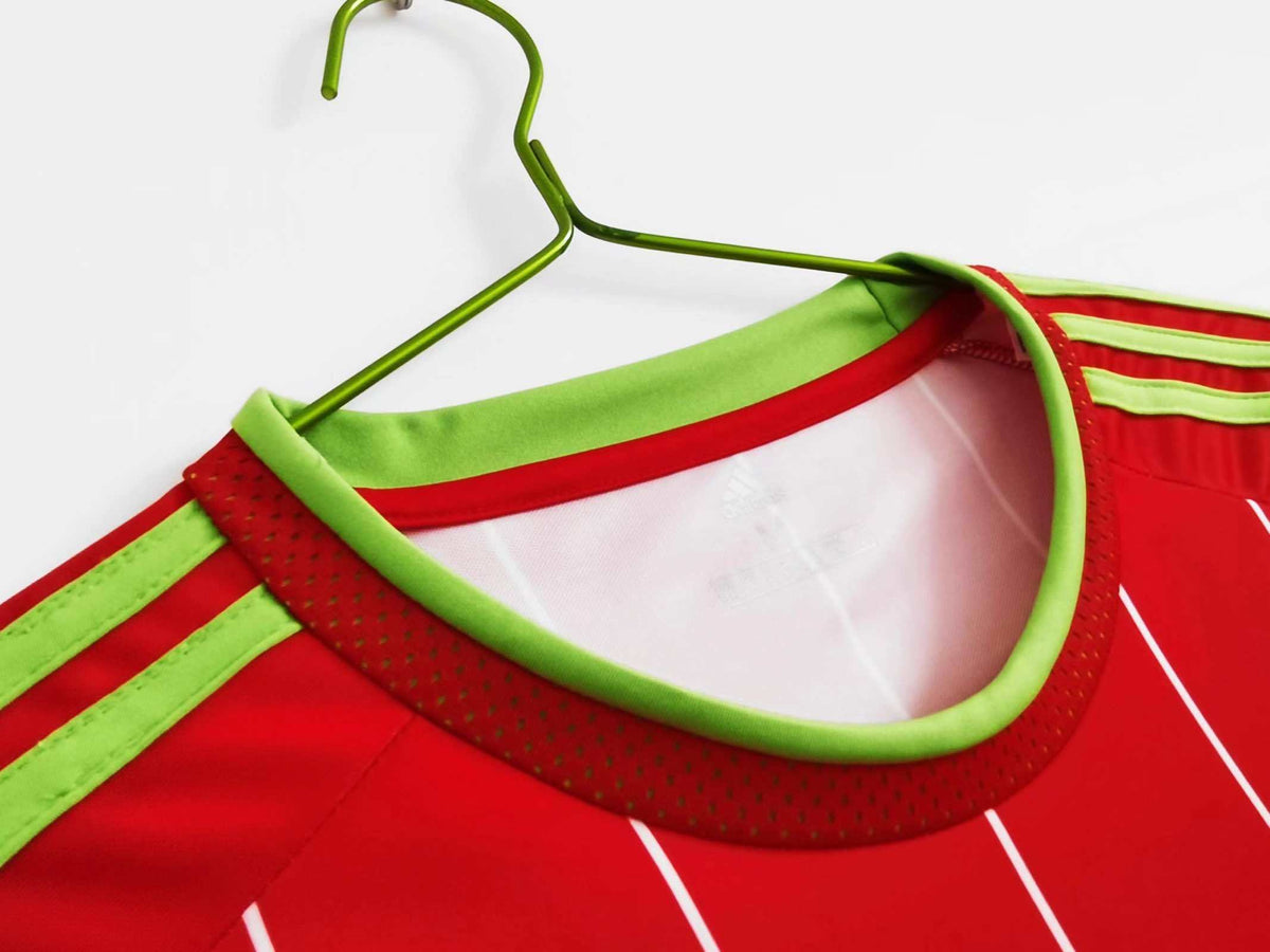 Maillot Pays de Galles 2015/16 Domicile Rétro — vue 7
