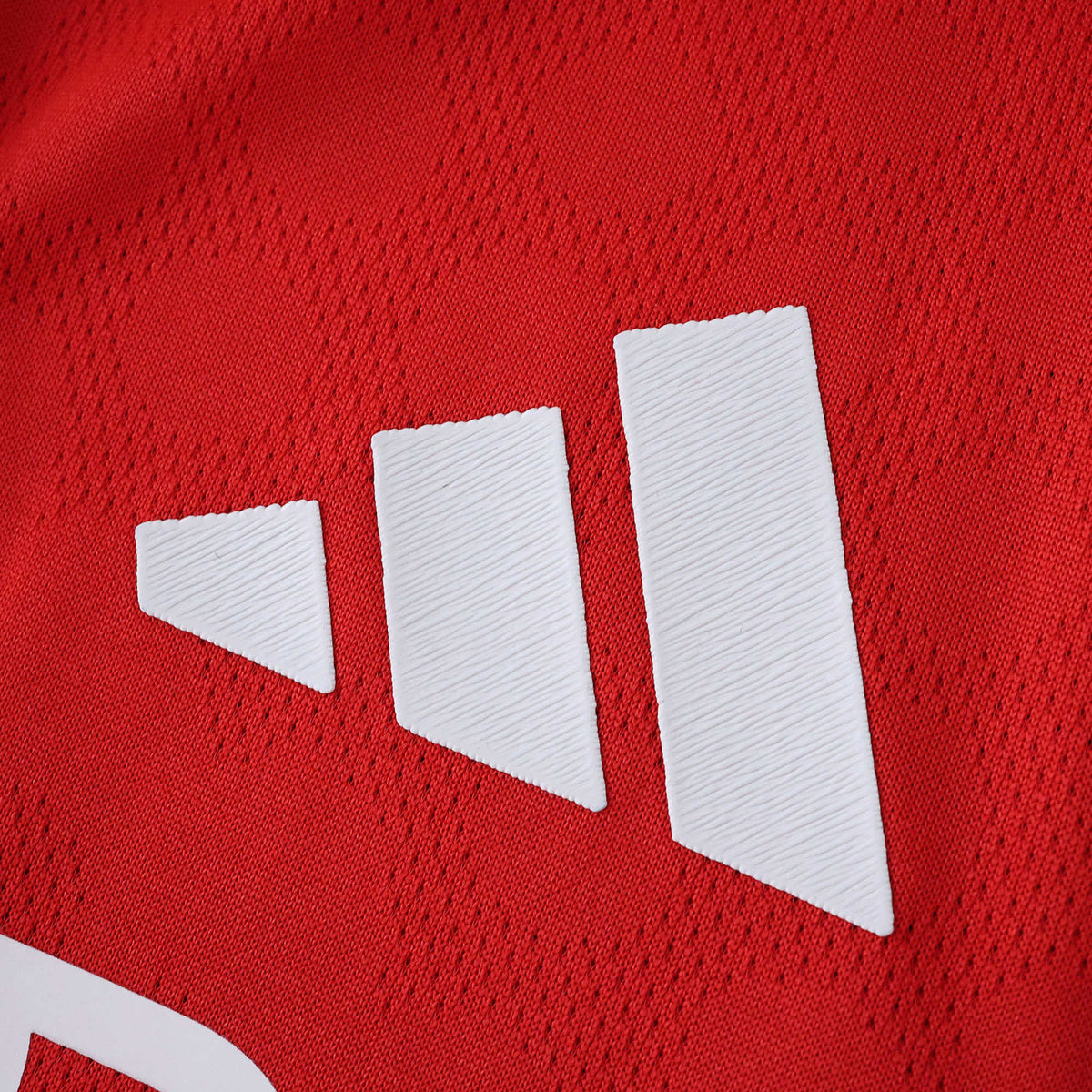 Maillot Benfica 2025/26 Domicile — Version Joueur — vue 5