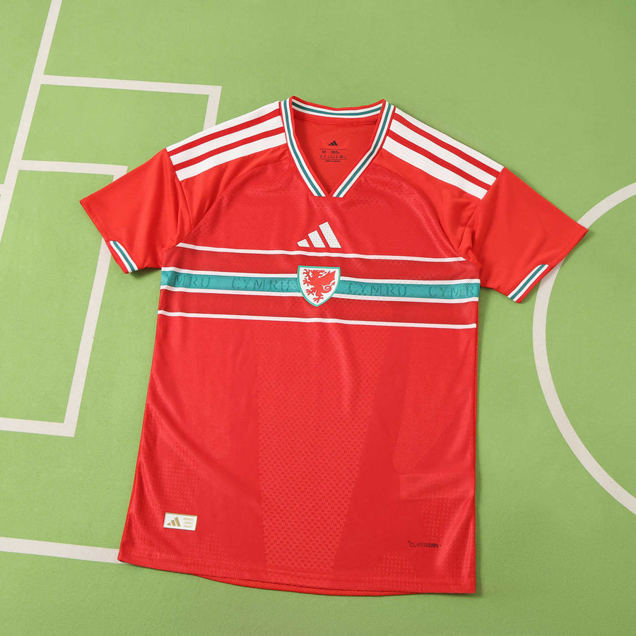 Maillot Pays de Galles 2026 Domicile — Version Joueur · Coupe du Monde 2026 — vue 2