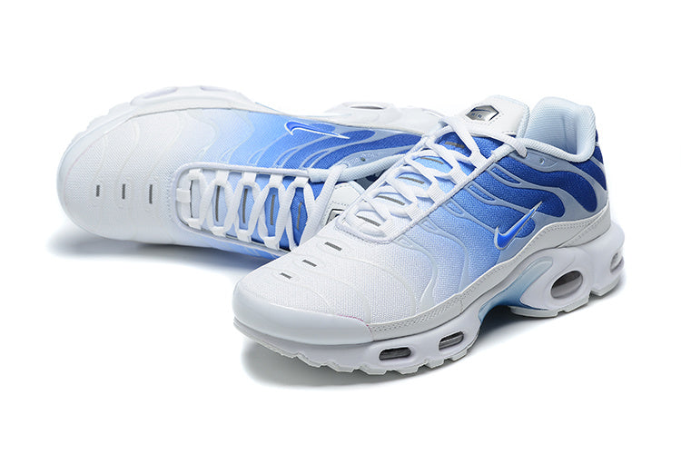 Nike Air Max Plus TN 'Blanc Bleu Royal Dégradé' — vue 5
