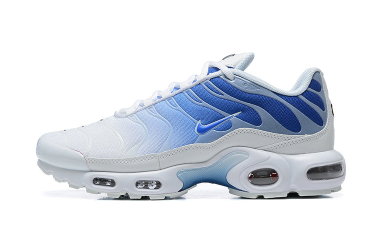 Nike Air Max Plus TN 'Blanc Bleu Royal Dégradé' — vue 6