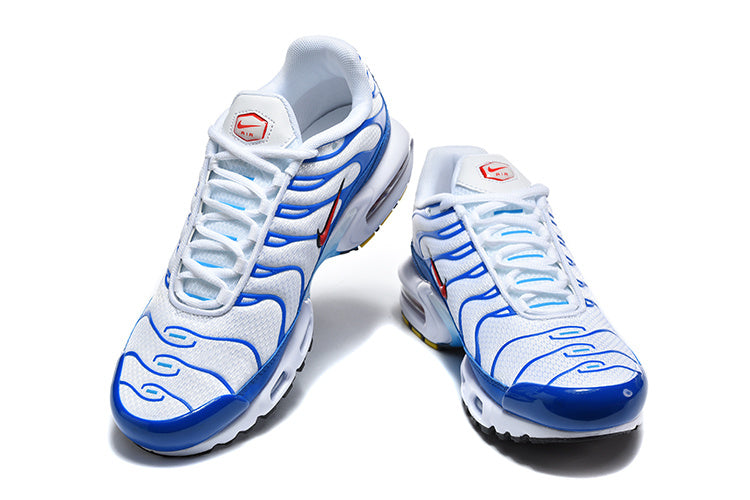 Nike Air Max Plus TN 'Blanc Bleu Royal Tigre' — vue 3
