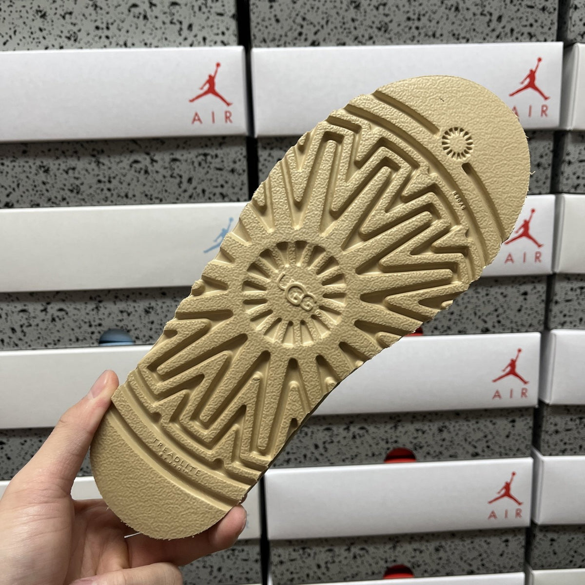 UGG Tasman 'Mustard Seed' — vue 3