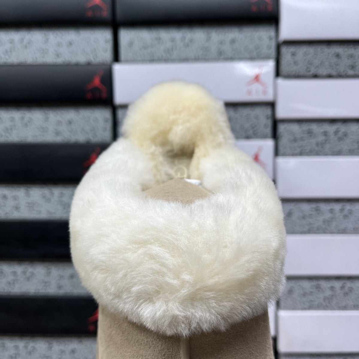 UGG Disquette 'Mustard Seed' — vue 5