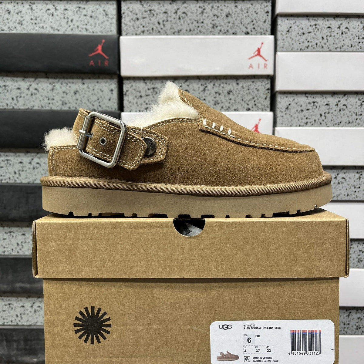 UGG Tazz Buckle 'Chestnut'