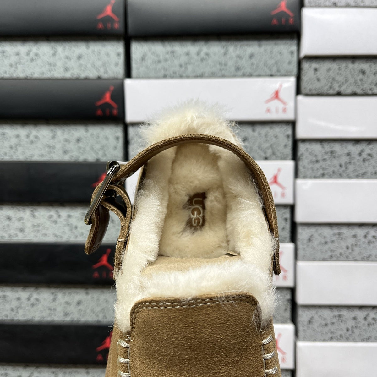 UGG Tazz Buckle 'Chestnut' — vue 5