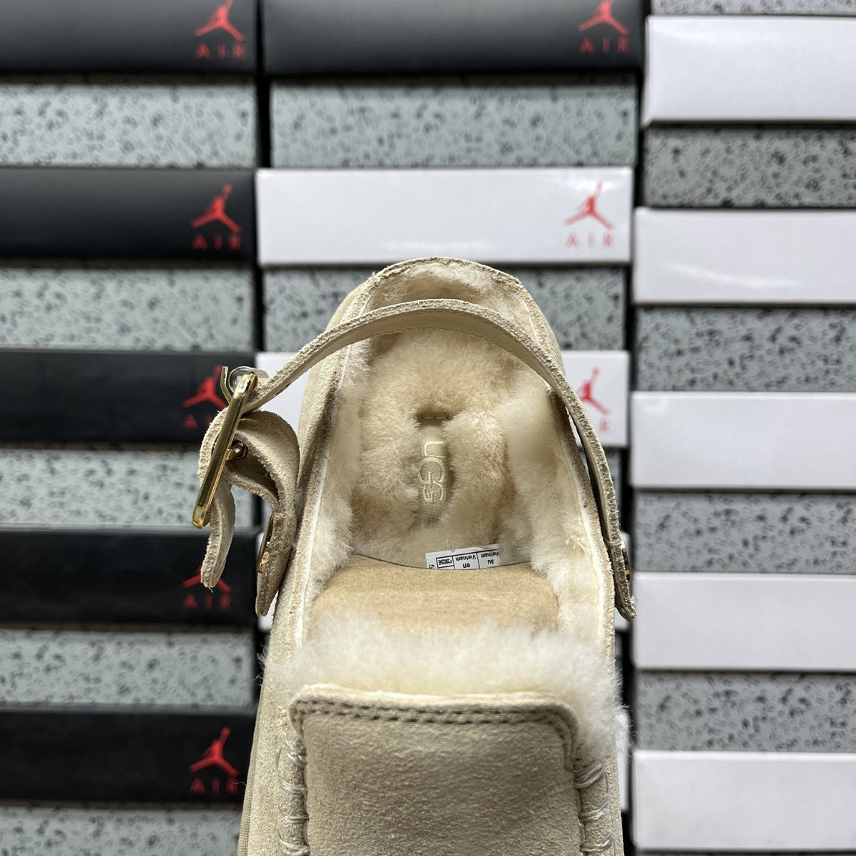 UGG Tazz Buckle 'Mustard Seed' — vue 5